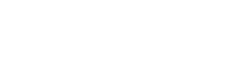 zyon.com